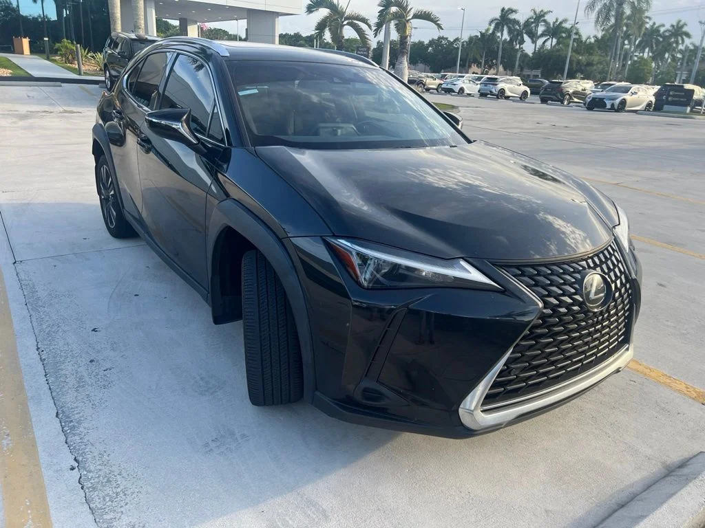 2024 Lexus UX 300h 250h's photo