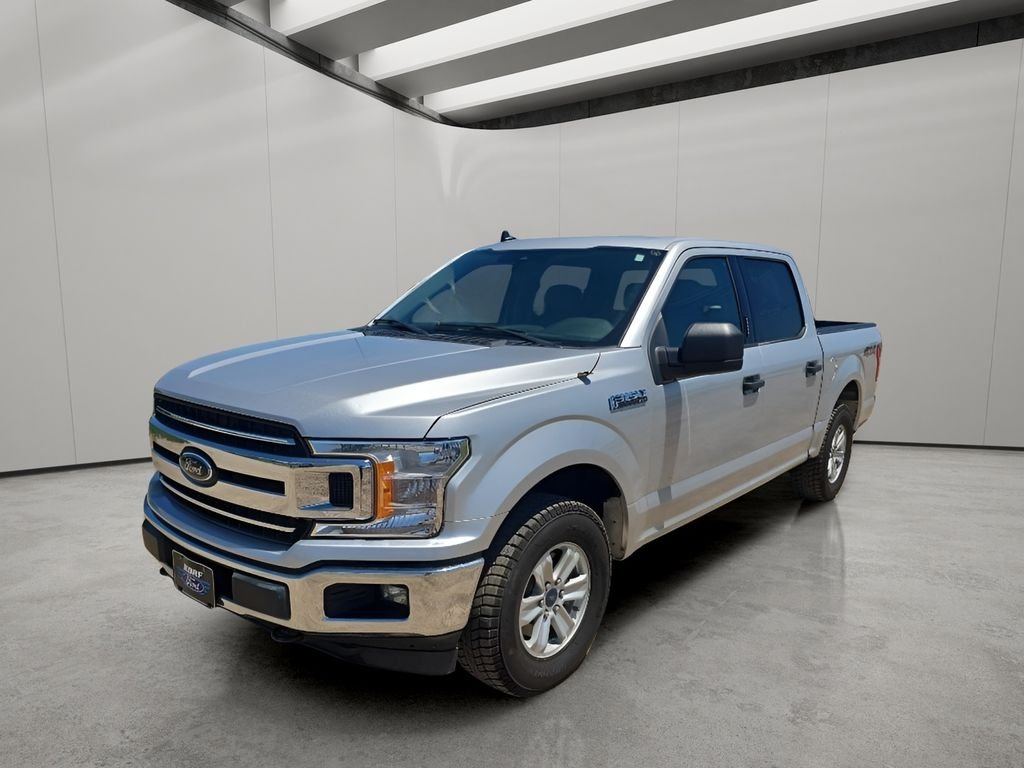 Used 2019 Silver Ford  image 1