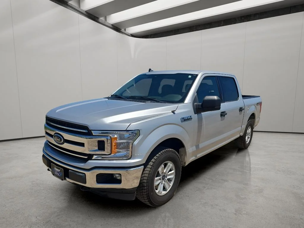 Used 2019 Silver Ford  image 1