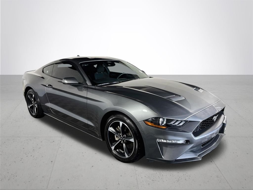 Used 2023 Gray Ford EcoBoost image 4