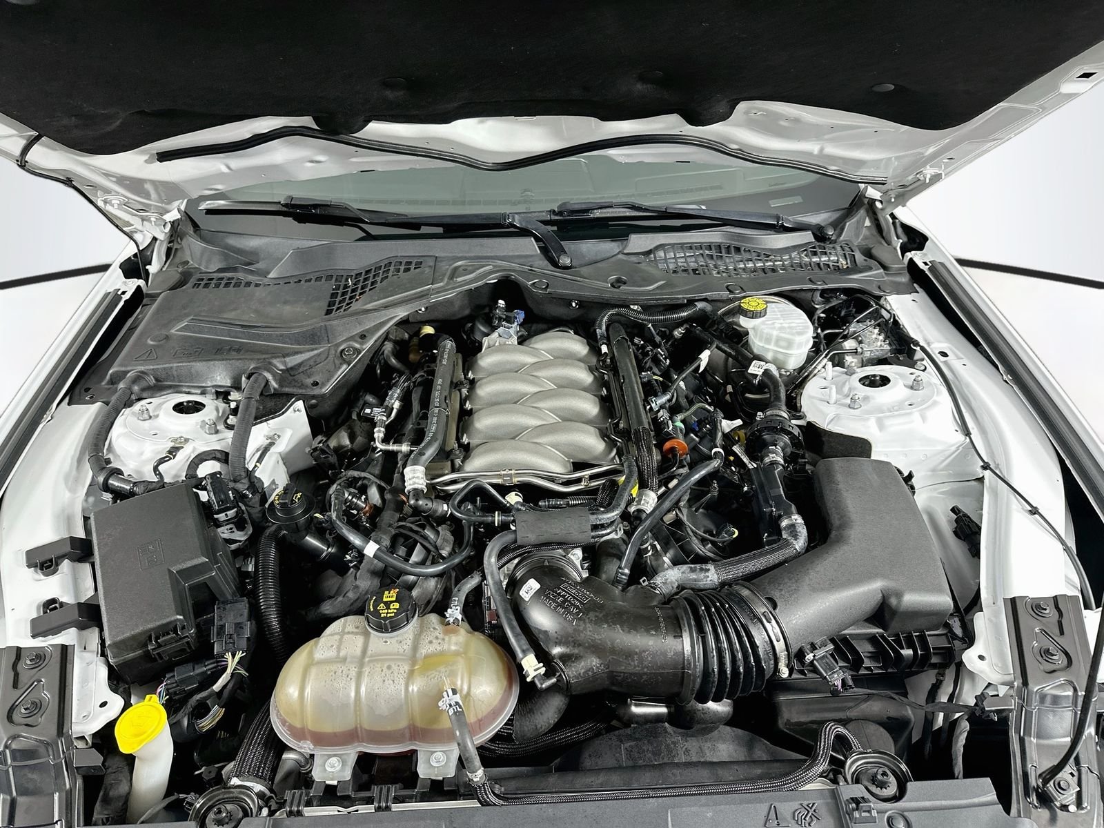 Used 2019 Oxford White Ford GT image 29