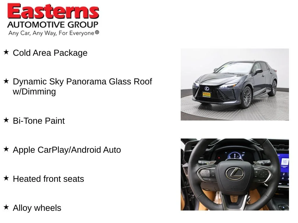 Used 2023 Gray Lexus 450e Luxury image 11