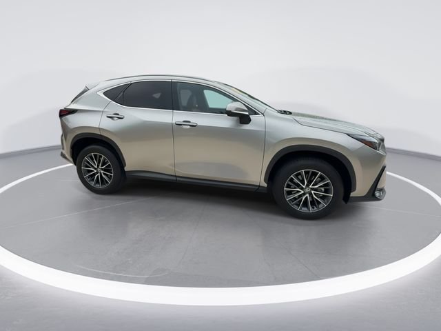 2025 Lexus NX 250 - Photo 9