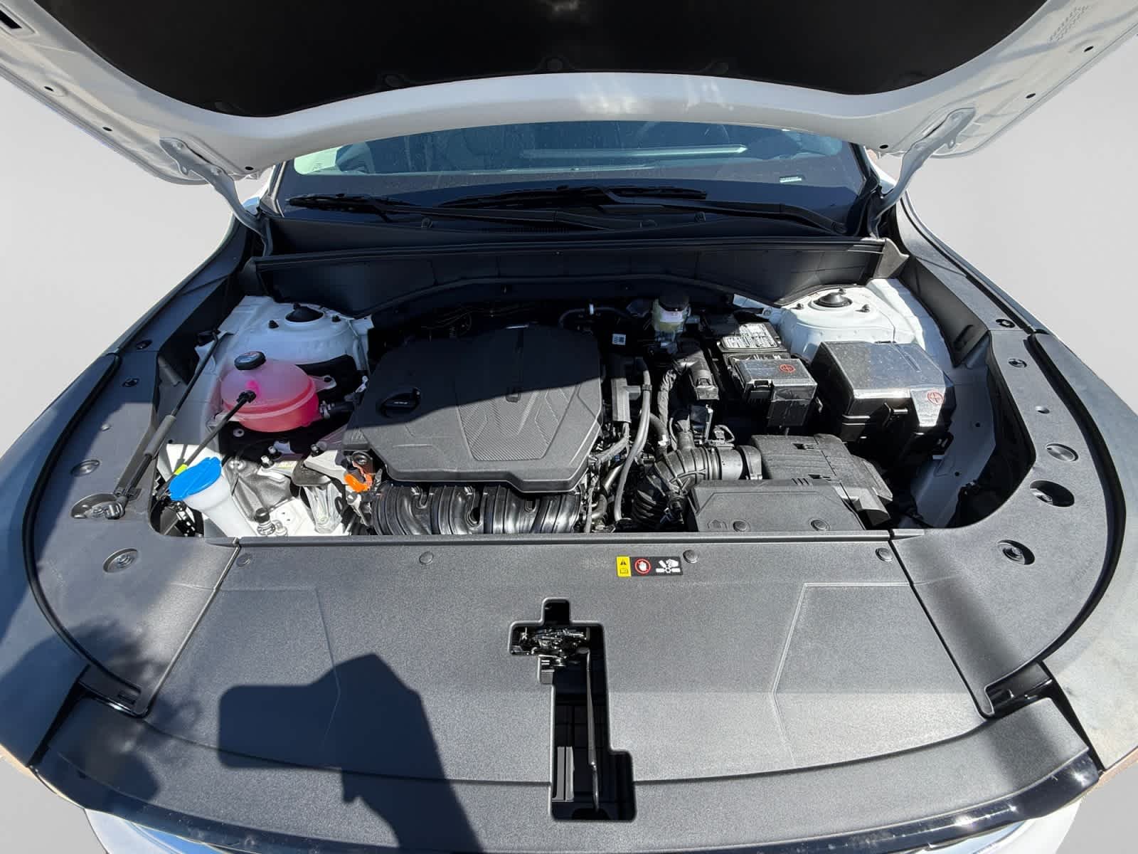 New 2026 Glacial White Pearl Kia S image 23