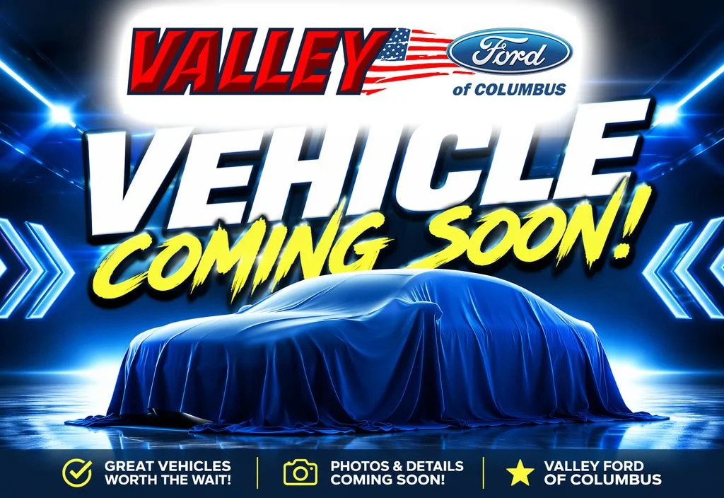 Used 2019  Ford XL image 1