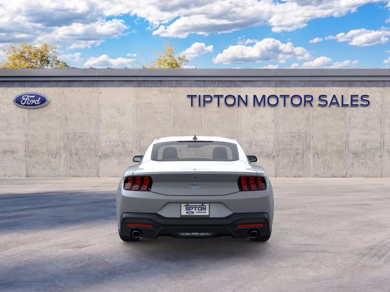 New 2026 Avalanche Gray Ford EcoBoost® Fastback image 5