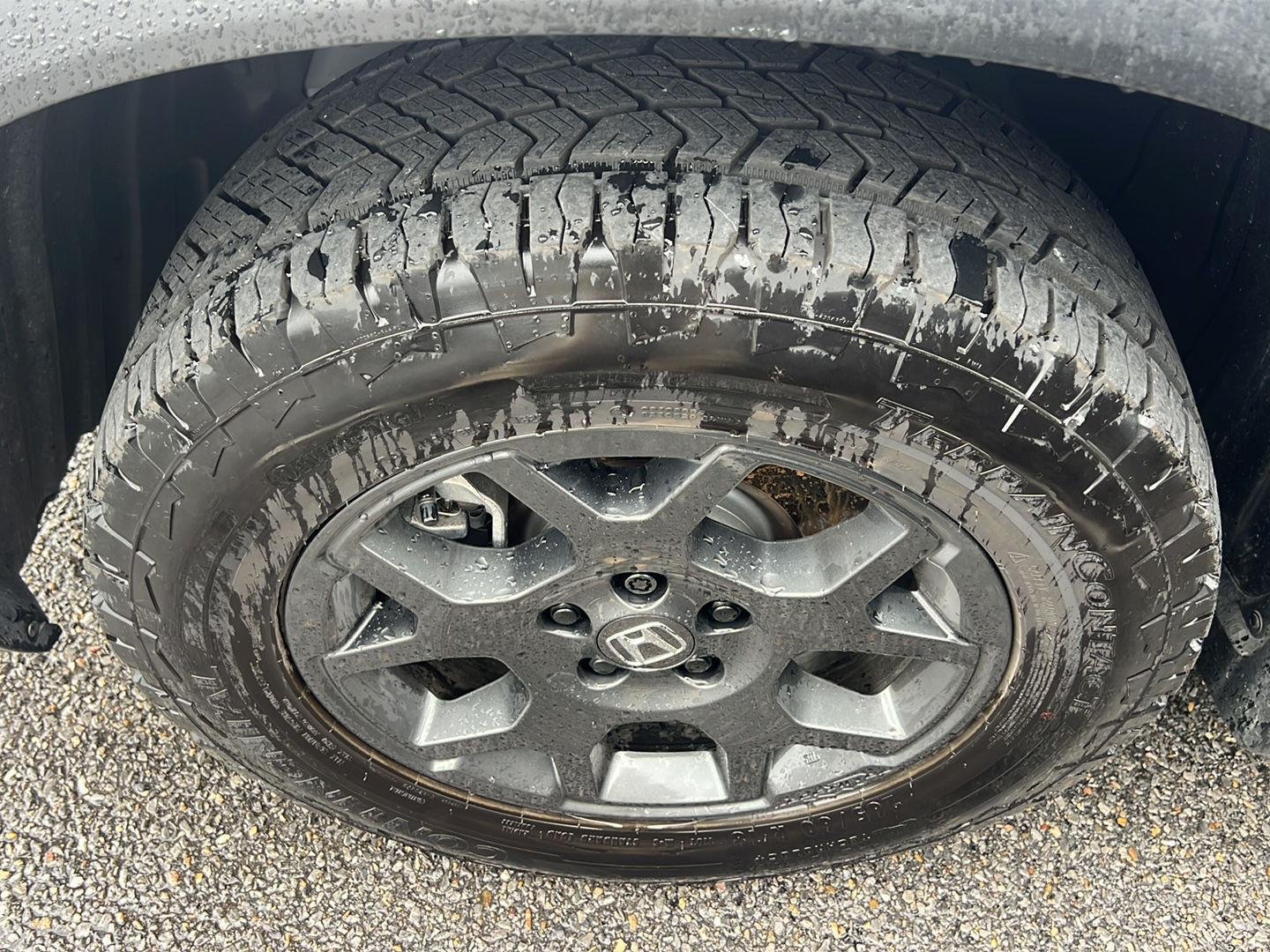 Used 2025 Lunar Silver Metallic Honda TrailSport image 8