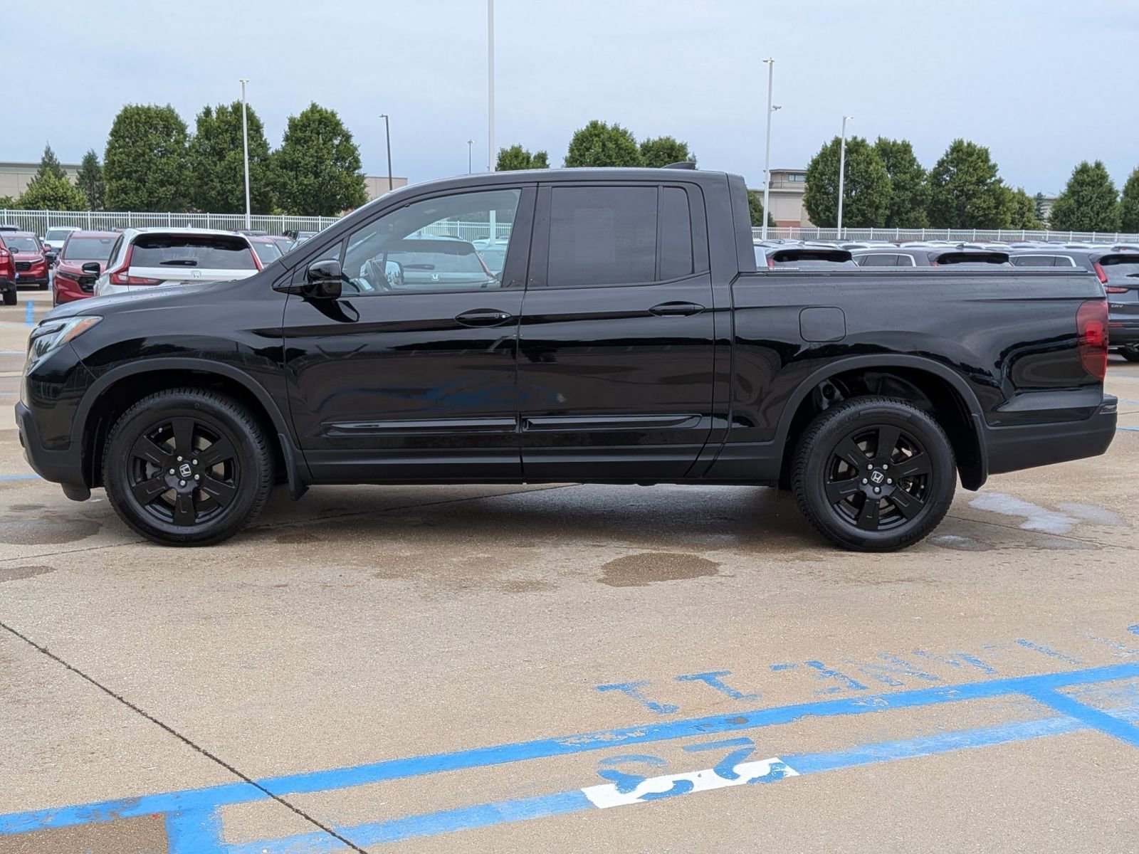 Certified Used 2019 Black Honda Black Edition image 10