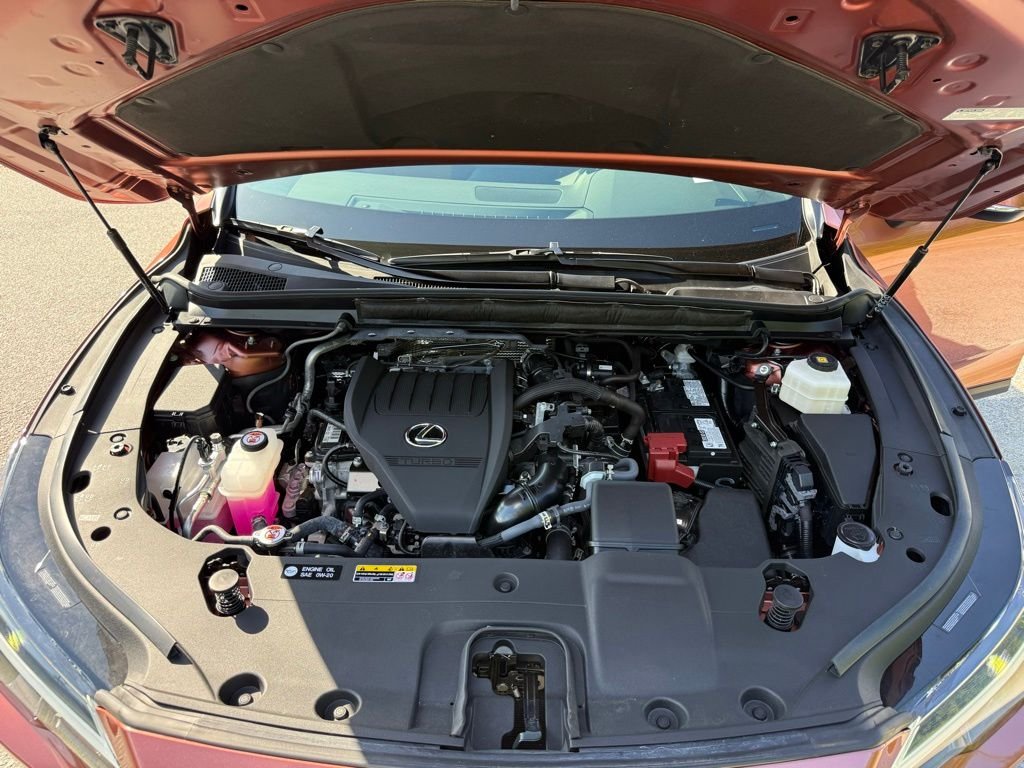 2025 Lexus RX 350 - Photo 16
