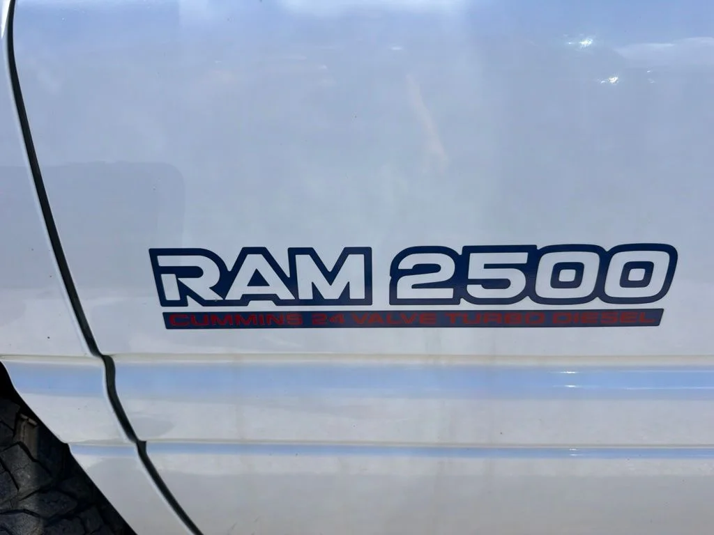 Used 1999 Bright White Clear Coat Dodge SPORT image 5