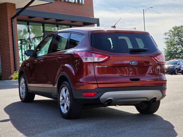 Used 2016 Orange Ford SE image 5