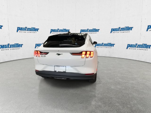 New 2026 White Ford Premium image 10