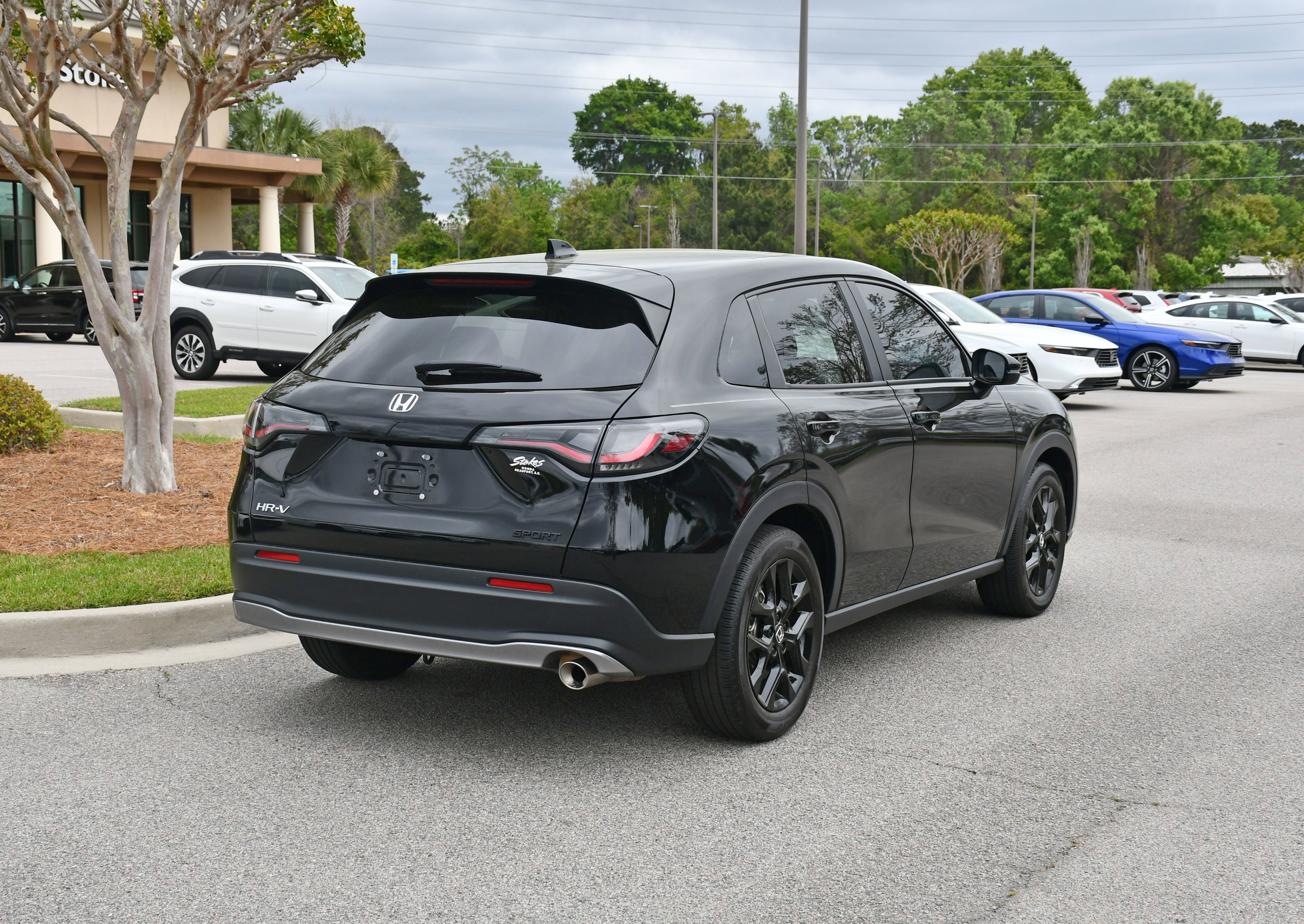 Used 2024 Black Honda Sport image 4