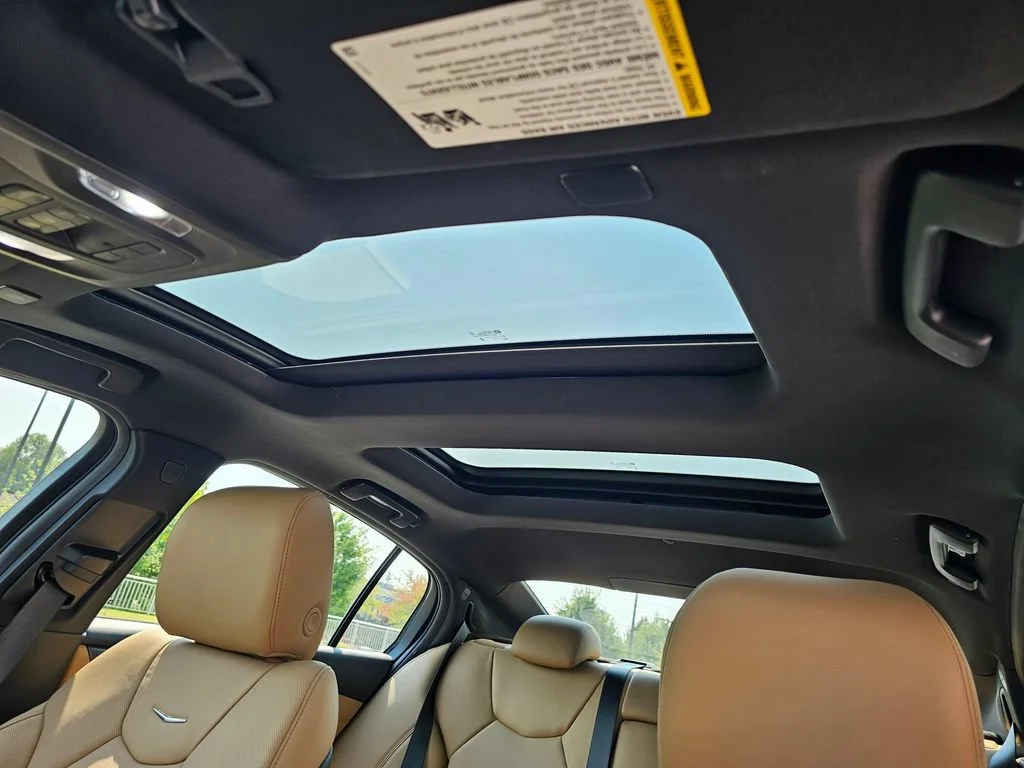 New 2026 Typhoon Metallic Cadillac Premium Luxury image 21