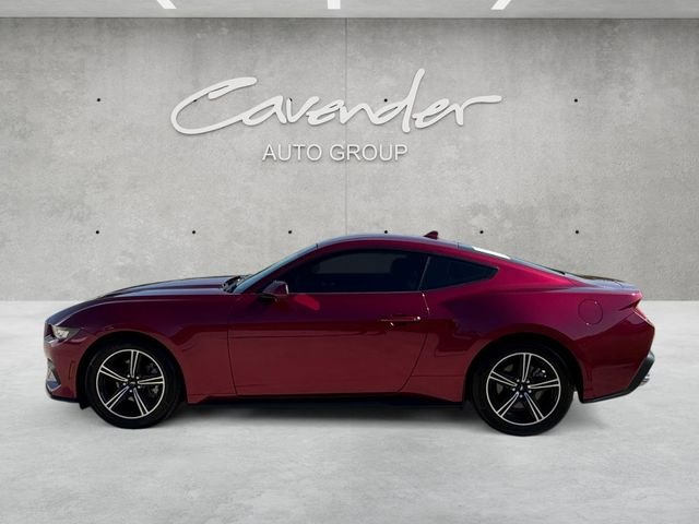 Used 2025 Red Ford EcoBoost image 13