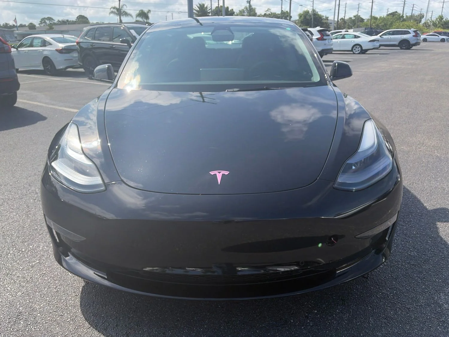 Used 2021 Tesla Model 3 Base with VIN 5YJ3E1EA7MF100349 for sale in Port Richey, FL