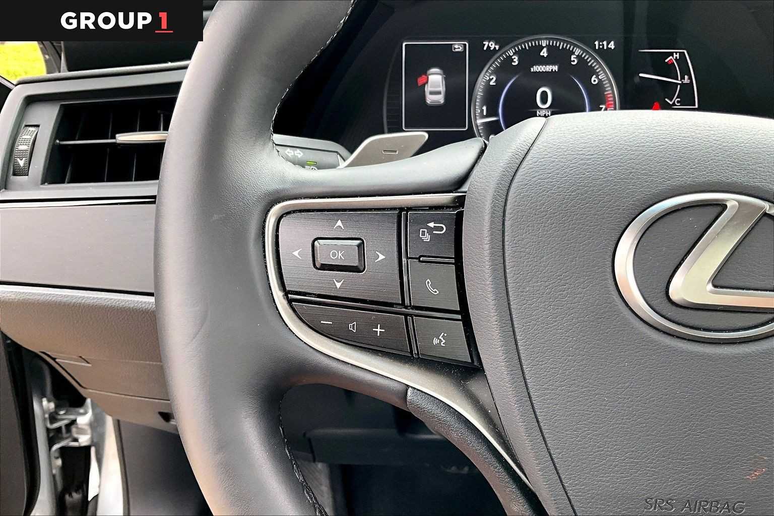 Used 2025 Iridium Lexus  image 21