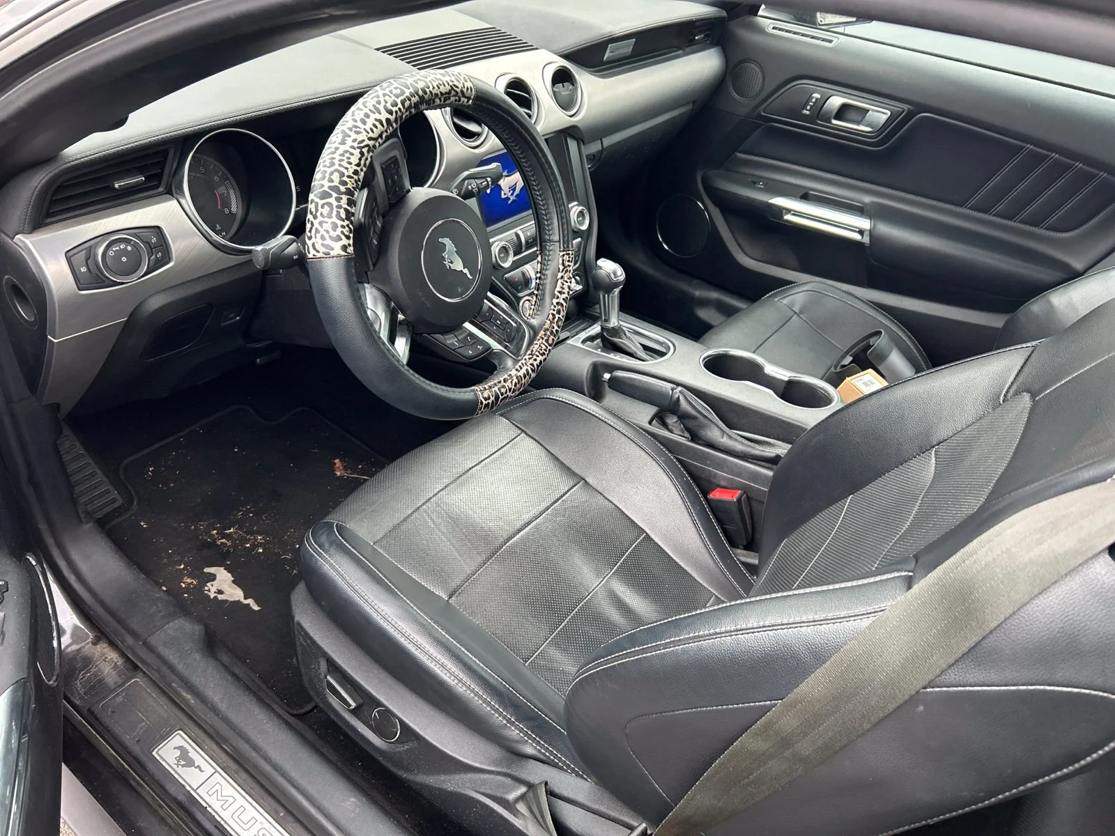 Used 2019 Magnetic Ford EcoBoost Premium image 5