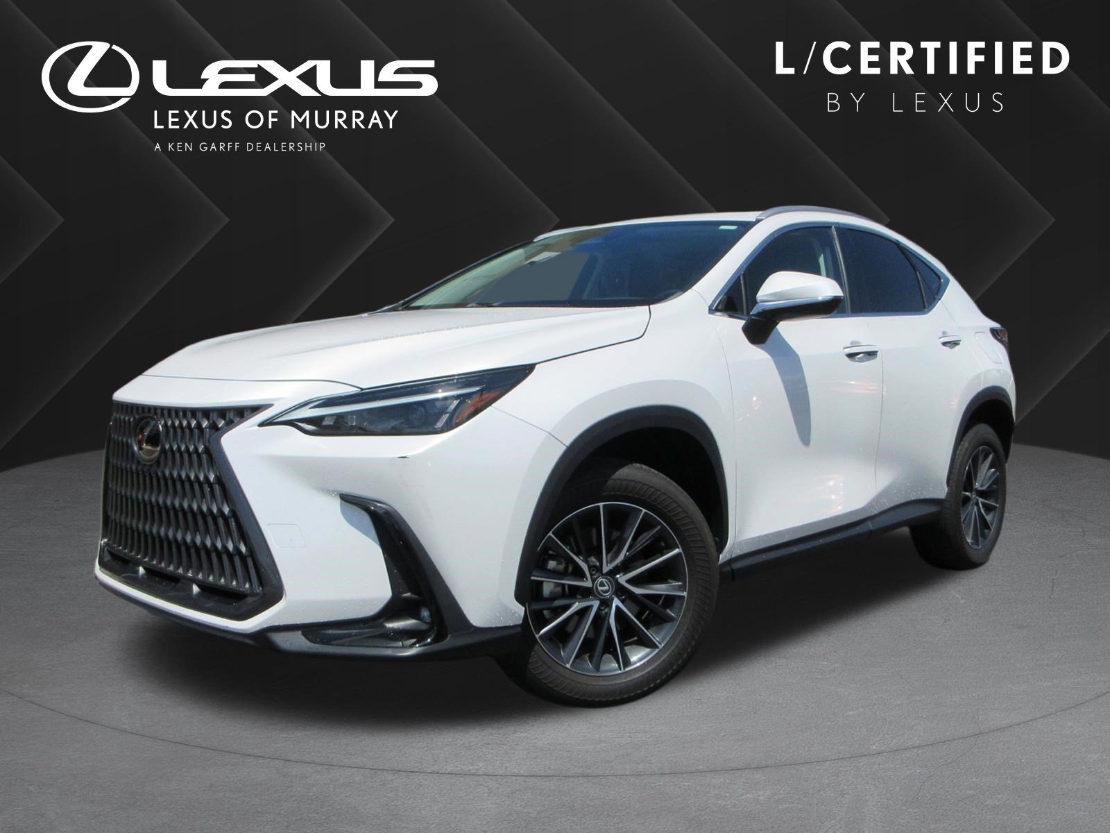 2024 Lexus NX 350 350 AWD's photo