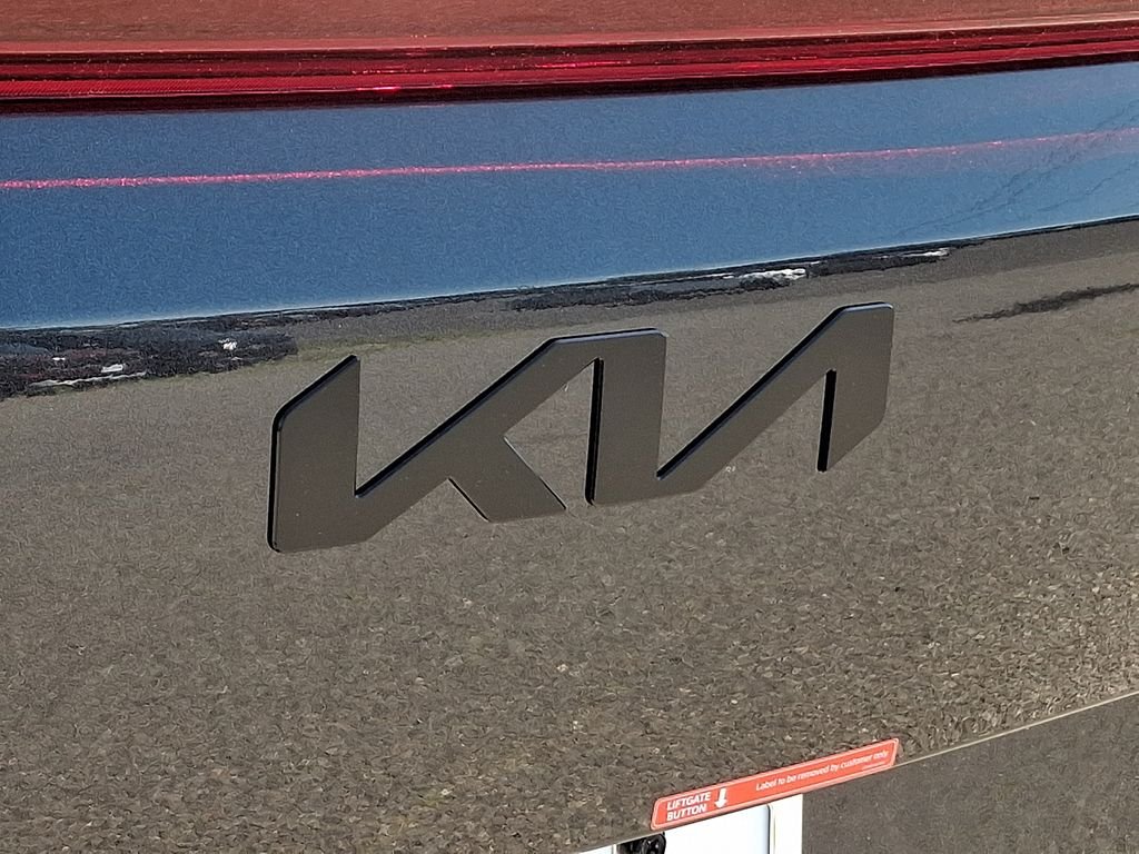 New 2026 Panthera Metal Kia SX image 14