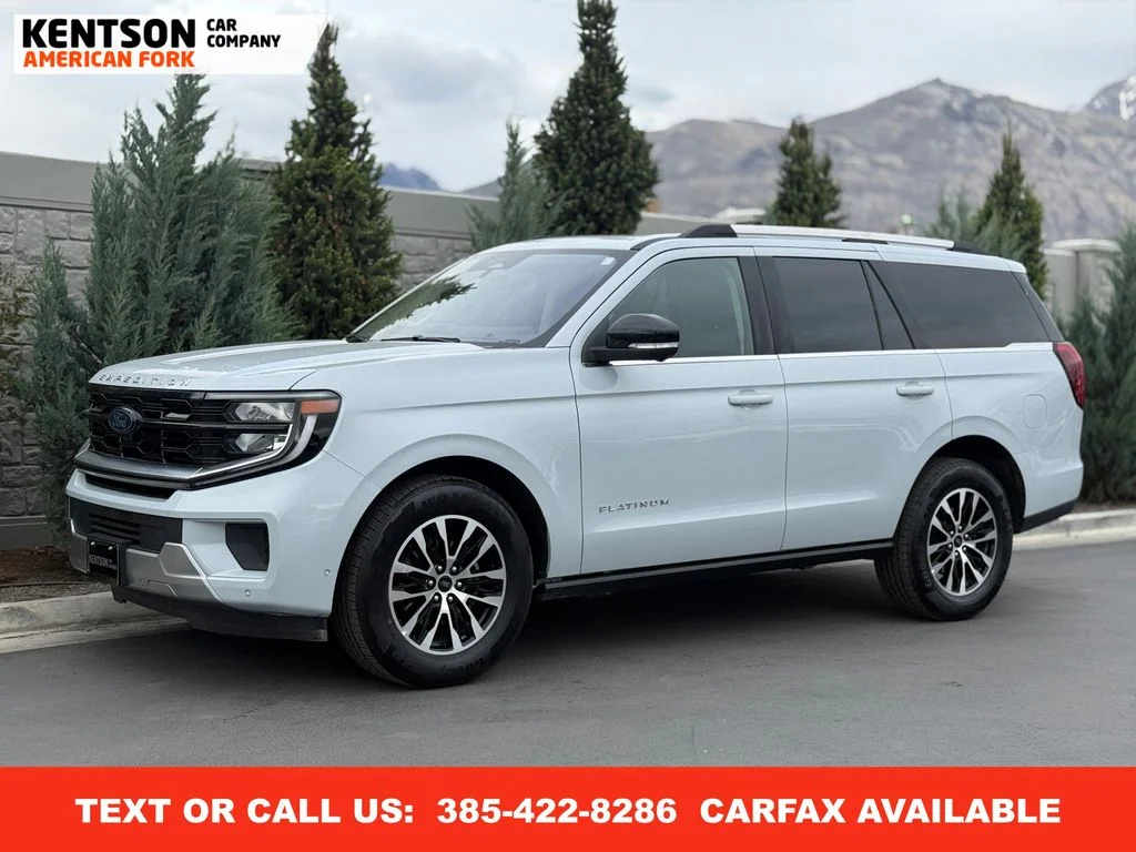2025 Ford Expedition Platinum 4x4's photo