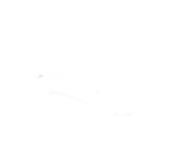 Used 2024 White Hyundai Calligraphy image 14