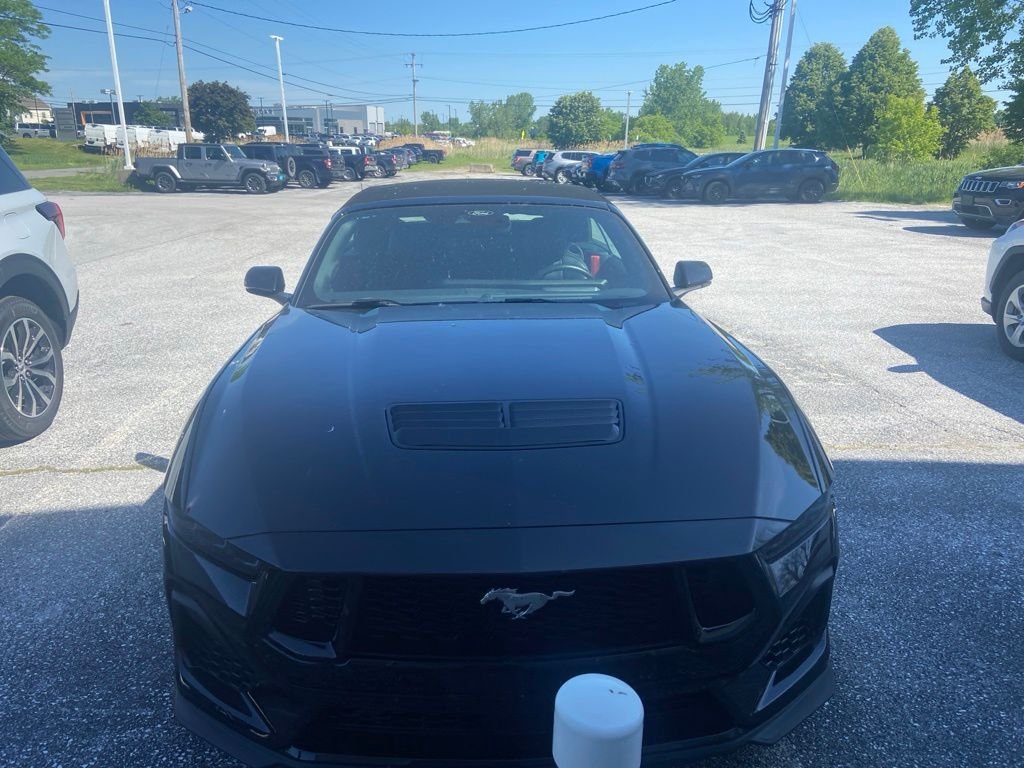 Used 2025 Black Ford GT Premium image 2