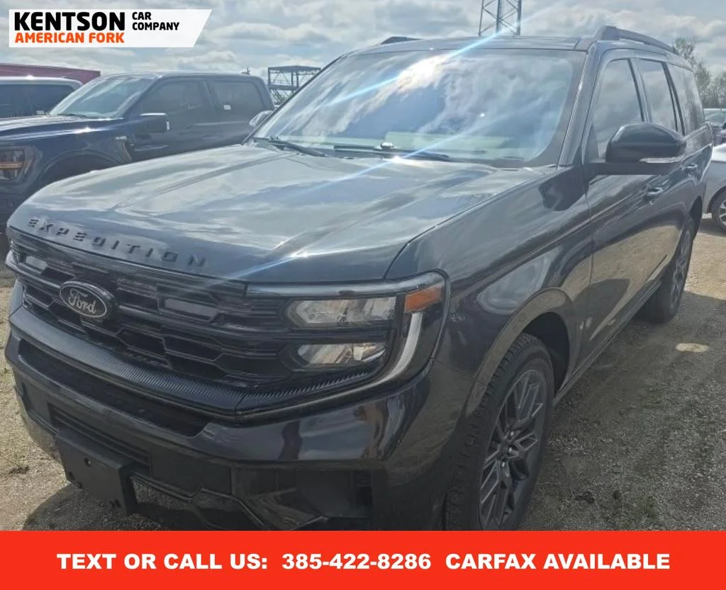 2025 Ford Expedition Platinum 4x4's photo