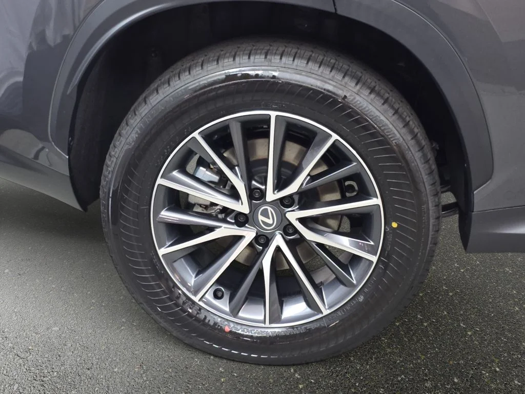 New 2026 Cloudburst Gray Lexus PREMIUM image 30