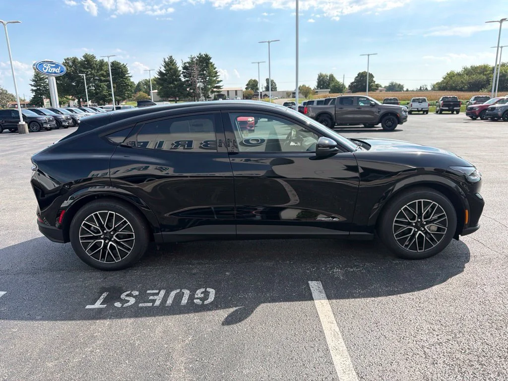New 2026 Shadow Black Ford Premium image 6