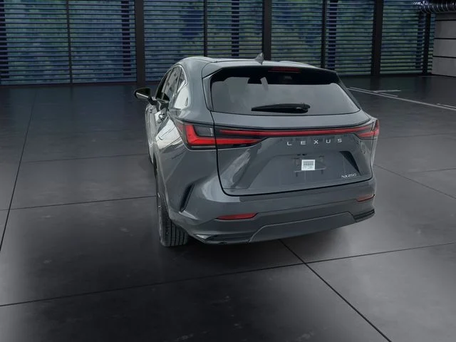 Used 2024 Gray Lexus 250 Premium image 7