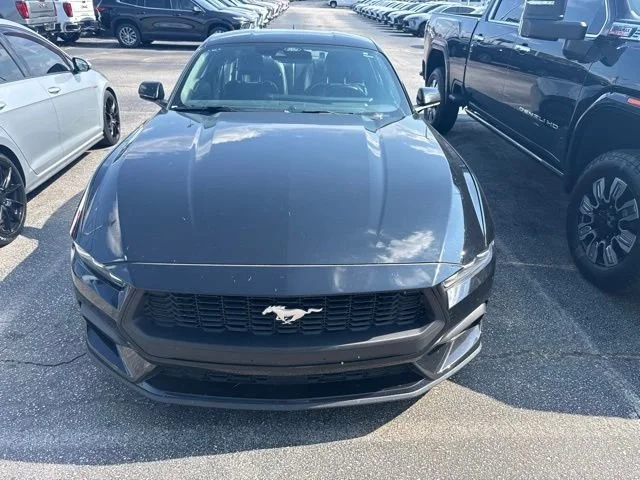 Used 2024 Black Ford EcoBoost Premium image 3
