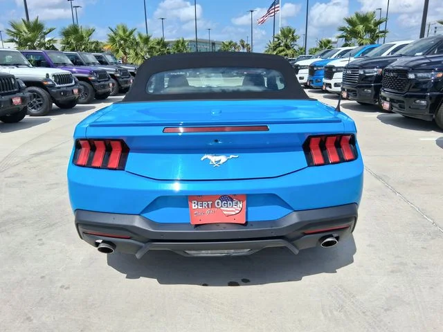 Used 2025 Blue Ford EcoBoost Premium image 6