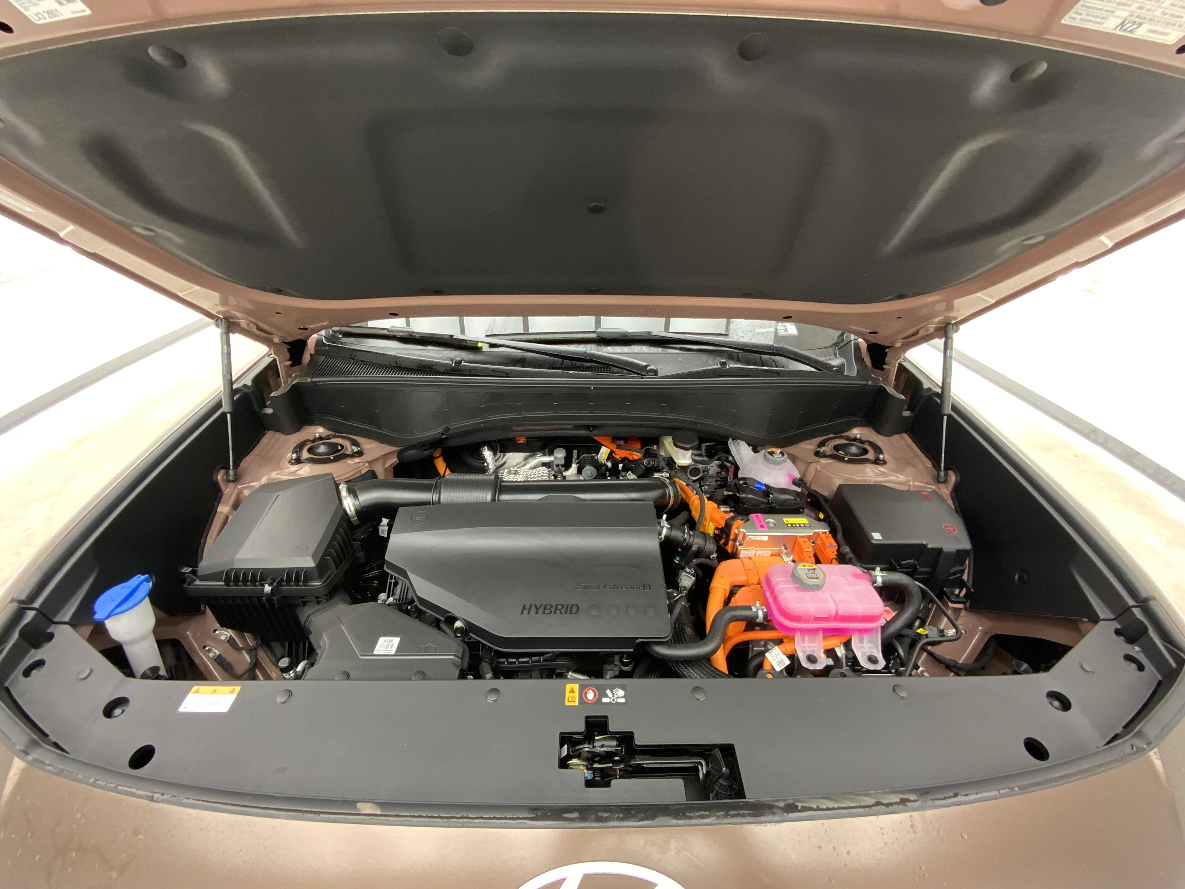 New 2026 Earthy Brass Matte Hyundai Calligraphy image 6