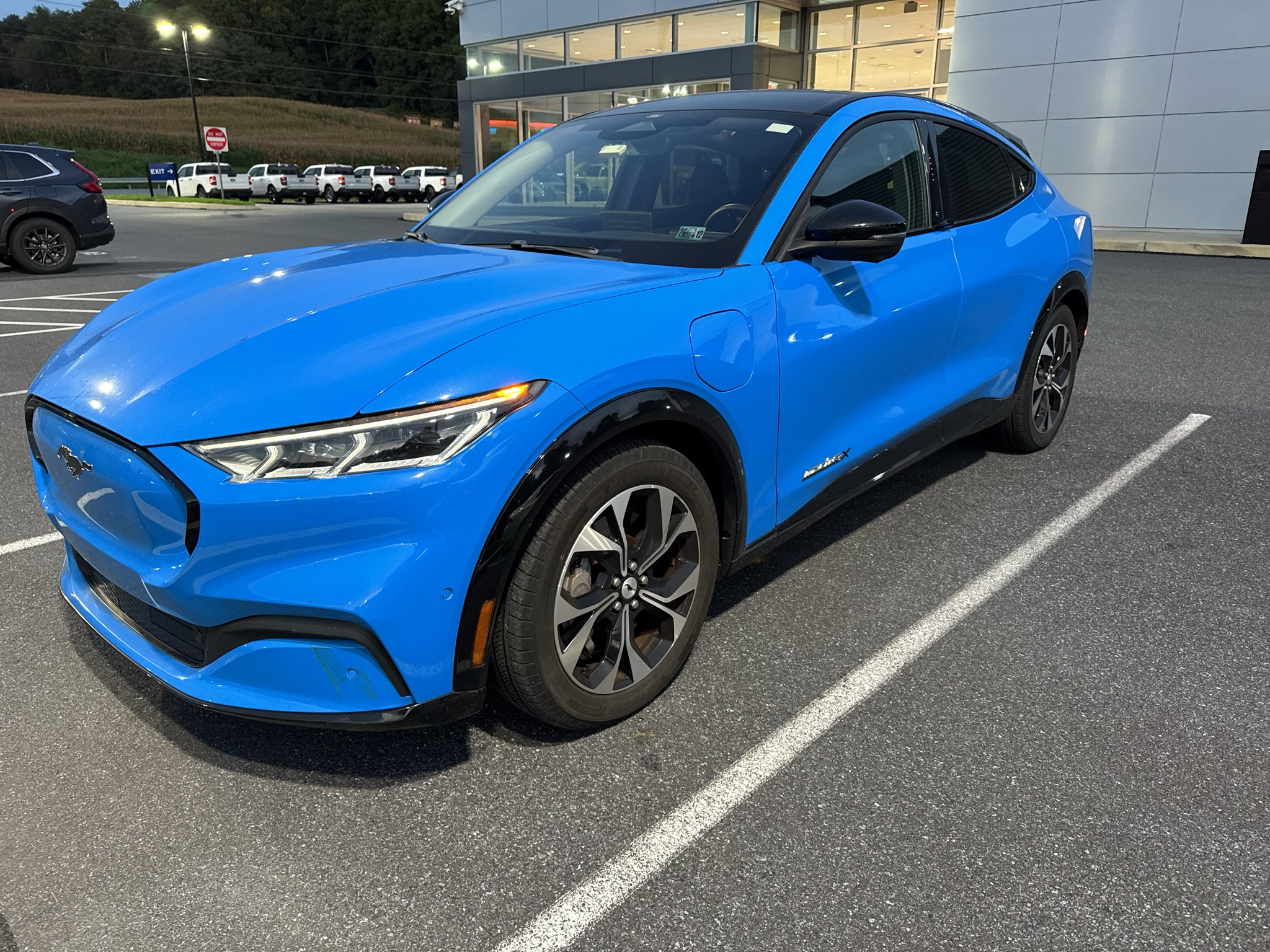 Used 2023 Grabber Blue Ford Premium image 2