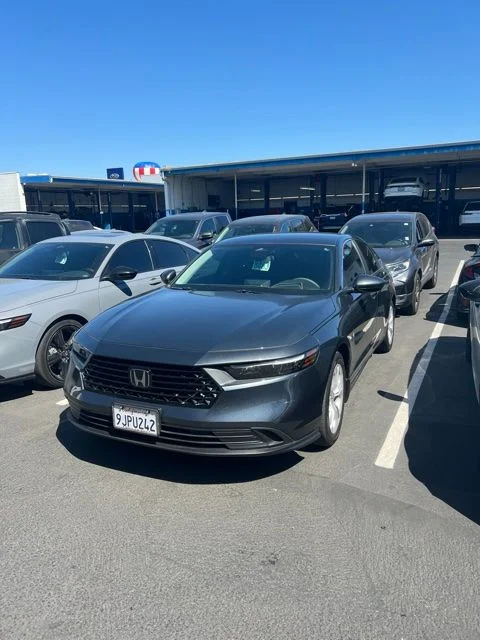 Used 2024 Gray Honda LX image 13