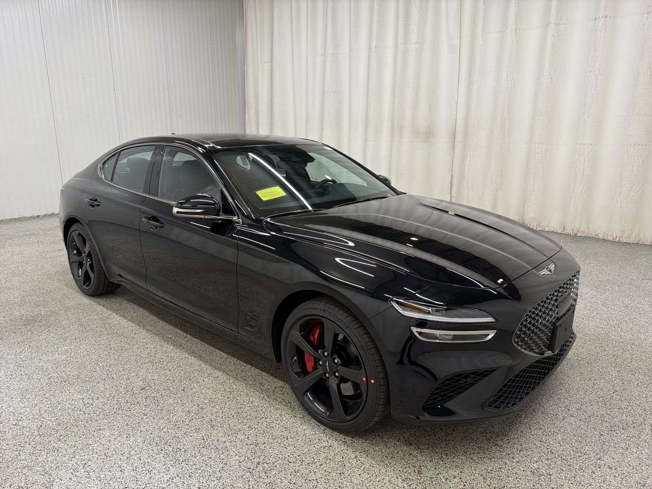 New 2027 Vik Black Genesis Standard image 1