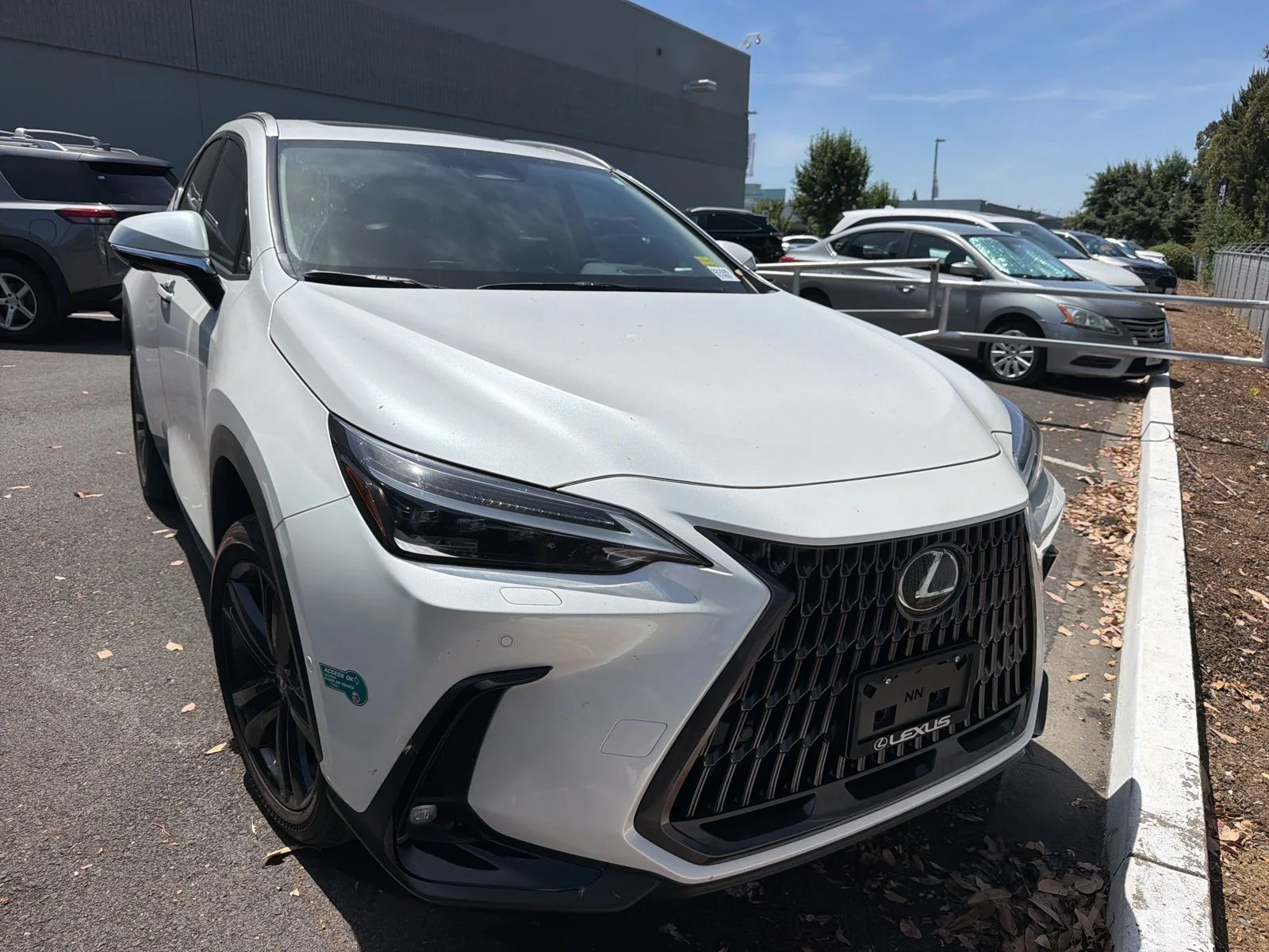 2025 Lexus NX 450h+ 450+ Luxury AWD's photo