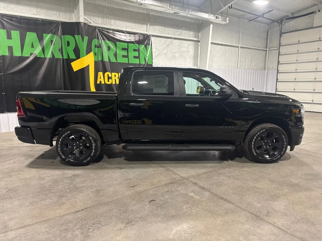 New 2026 Diamond Black Crystal Pearl-Coat Exterior Paint RAM Express image 4