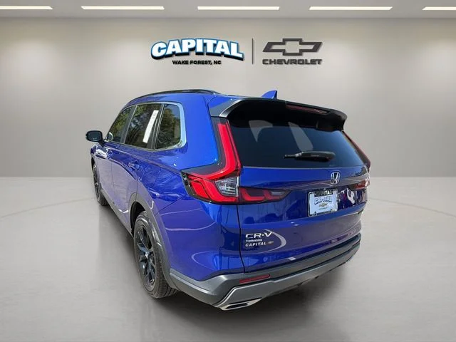 Used 2024 Blue Honda Sport image 5
