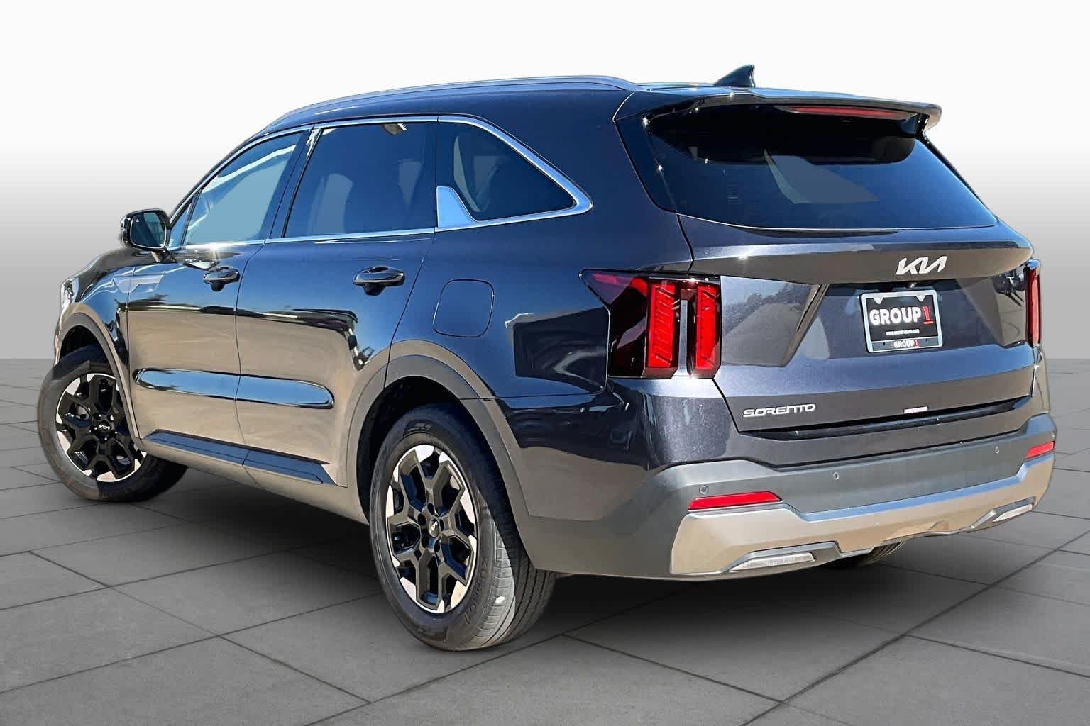 Used 2025 Panthera Metal Kia S image 11