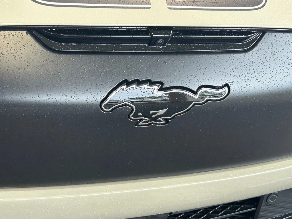 2025 Ford Mustang Mach-E GT - Photo 18