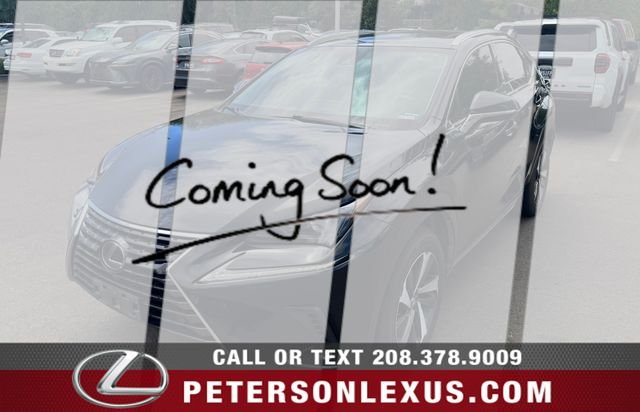 2020 Lexus NX 350 300 AWD's photo