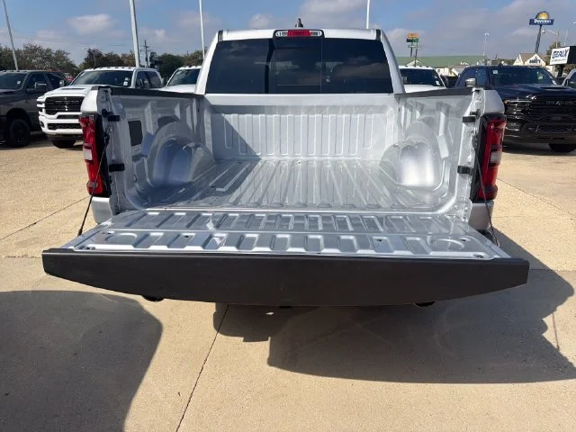 New 2027 Silver Zynith Exterior Paint RAM Express image 11