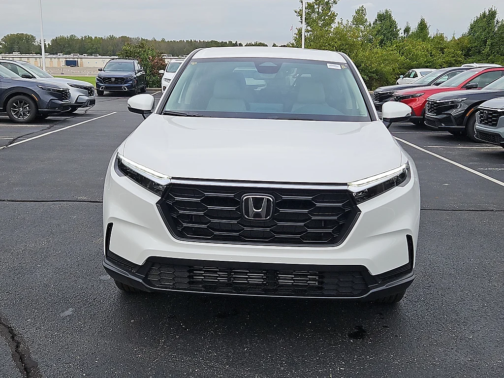 New 2026 Platinum White Pearl Honda LX image 6