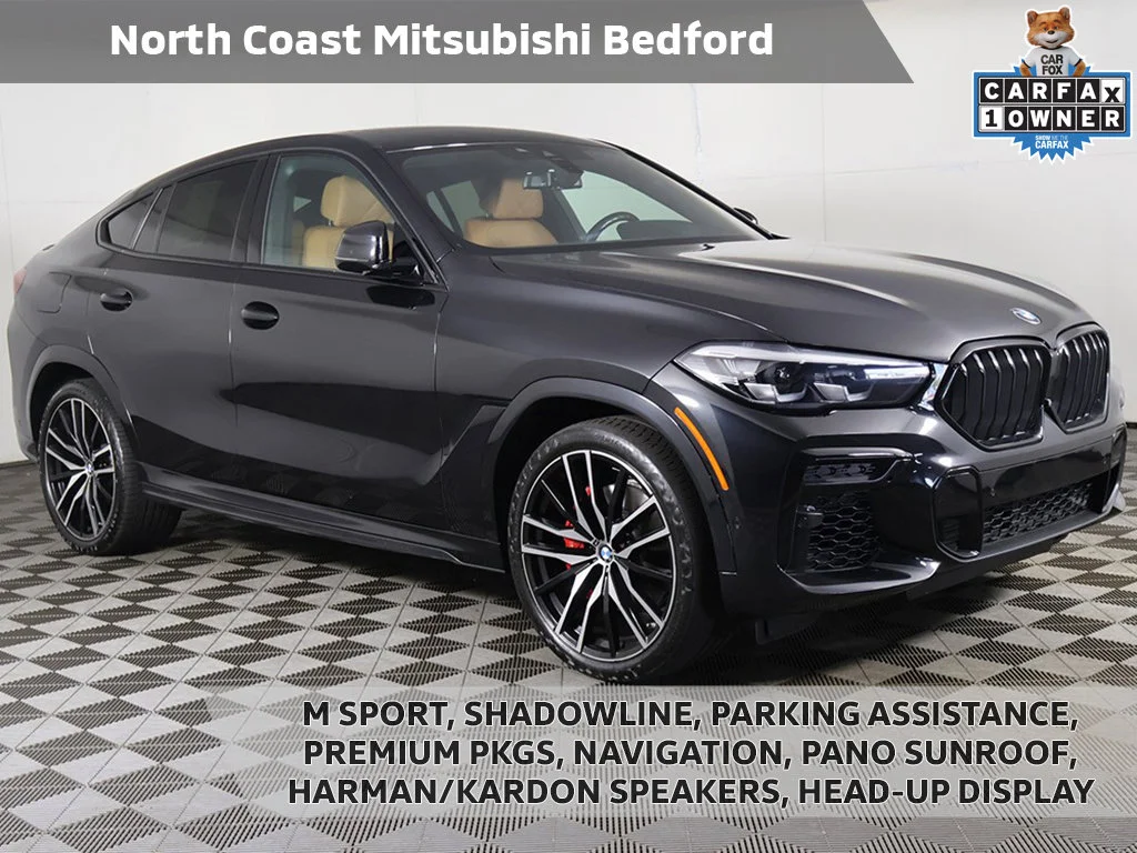 2023 BMW X6