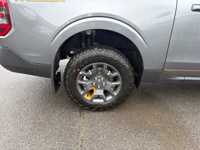 New 2026 Gray Ford Tremor image 15