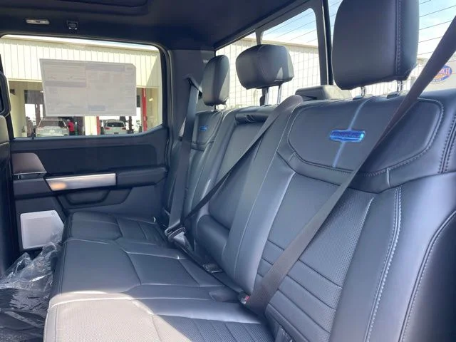 New 2026 Carbonized Gray Metallic Ford Platinum image 9