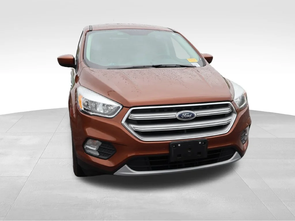 Used 2017 Canyon Ridge Metallic Ford SE image 8