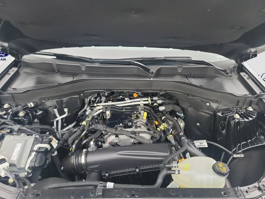 Used 2025 Gray Ford Active image 17